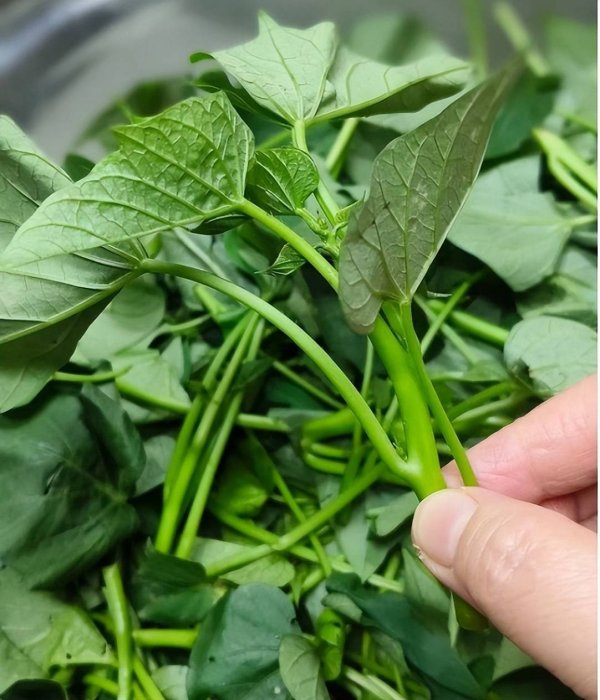 普患配资 秋天吃啥菜能逆袭秋燥？这菜排毒润秋燥还护眼！