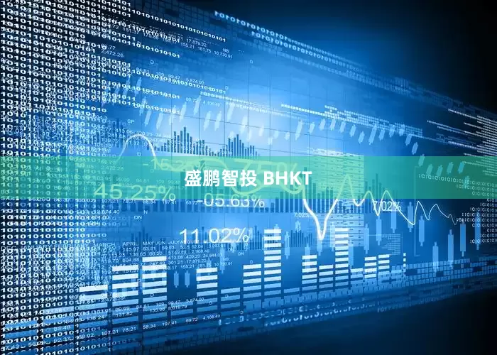 盛鹏智投 BHKT